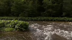 音乐短片 - 溪行桃花源