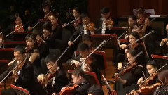 音乐短片 - 2016北京新年音乐会 春之声圆舞曲
