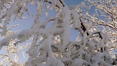 音乐短片 - БЕЛЫЙ СНЕГ