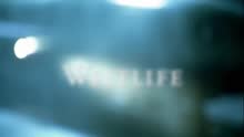 西城男孩 - Westlife Up Close and Personal