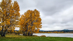 音乐短片 - Fall Foliage At Black Butte Ranch Oregon
