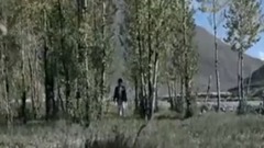 华语群星,民乐群星 - 朝圣西藏