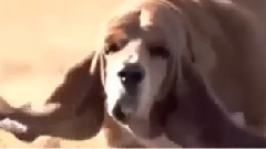 音乐短片 - The Most Satisfying Video In The World #4 Life Awesome 2016 Oddly Satisfying Video 2016