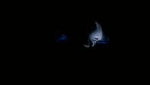 Sade - Smooth Operator (Lovers Live)