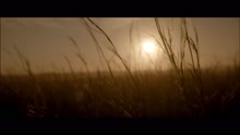西城男孩 - Lighthouse