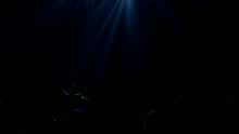 Sade - Immigrant (Lovers Live)