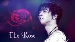 The Rose