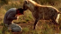 音乐短片 - Запеклі гієна групи зустрілися ця людина все змінилося