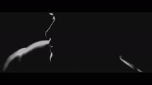 The Script - Six Degrees of Separation