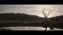 Bella Ferraro - Forgot You
