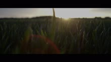 Cara Dillon - Bright Morning Star
