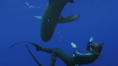 音乐短片 - Meet SCUBAPRO's Deep Elite