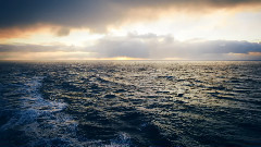 音乐短片 - Shelter From The Storm