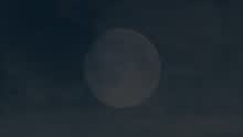 Moonshine ((Official Video))