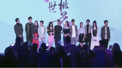 杨幂,影视原声 - 电视剧<三生三世十里桃花>发布会之媒体采访环节