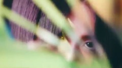 日本群星 - Our sympathy