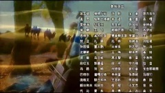 民乐群星,哈琳 - 吻你 电视剧<胡杨女人>片尾曲
