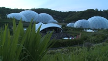 Stone Cold Sober (Eden Project)