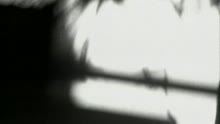 Candy Dulfer - Saxuality