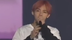 田柾国(防弹少年团),V(防弹少年团) - 2016 BTS LIVE花样年华演唱会