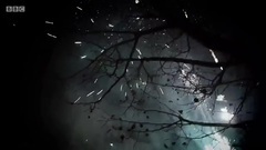 音乐短片 - 回家过年