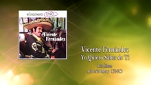 Vicente Fernández - Yo Quiero Saber de Ti (Cover Audio)