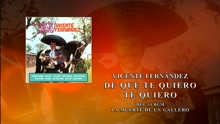 Vicente Fernández - De Que Te Quiero Te Quiero (Cover Audio)