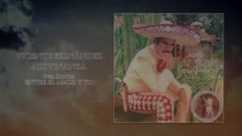 Vicente Fernández - Adivinanza (Cover Audio)