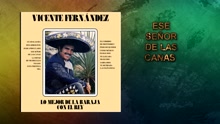 Vicente Fernández - Ese Señor de las Canas (Cover Audio)