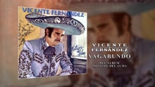 Vicente Fernández - Vagabundo (Cover Audio)