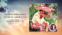 Vicente Fernández - Entre El Amor Y Yo (Cover Audio)