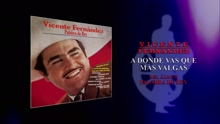 Vicente Fernández - A Donde Vas Que Más Valgas (Cover Audio)
