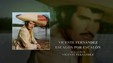 Vicente Fernández - Escalón por Escalón (Cover Audio)