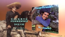 Vicente Fernández - Dolor (Cover Audio)