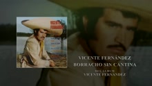 Vicente Fernández - Borracho Sin Cantina (Cover Audio)