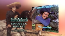 Vicente Fernández - Sin Que Lo Sepas Tú (Cover Audio)