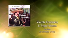 Vicente Fernández - La Yegua Palomina (Cover Audio)