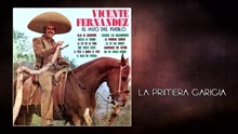 Vicente Fernández - La Primera Caricia (Cover Audio)