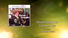 Vicente Fernández - Tápame los Ojos (Cover Audio)