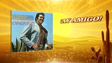 Vicente Fernández - ¡Ay Amigo! (Cover Audio)