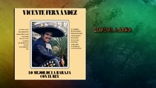 Vicente Fernández - Guadalajara (Cover Audio)