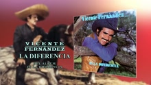 Vicente Fernández - La Diferencia (Cover Audio)