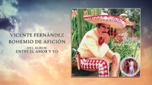 Vicente Fernández - Bohemio de Afición (Cover Audio)