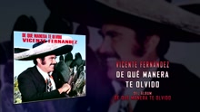 Vicente Fernández - De Qué Manera Te Olvido (Cover Audio)