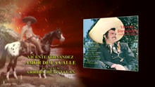 Vicente Fernández - Amor de la Calle (Cover Audio)