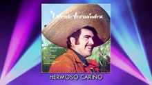Vicente Fernández - Hermoso Cariño (Cover Audio)