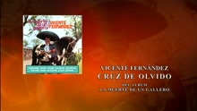 Vicente Fernández - Cruz de Olvido (Cover Audio)