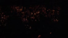 Good Hearted Woman (Live)