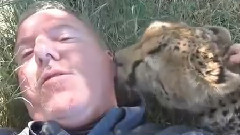 音乐短片 - Чоловік спав у траві