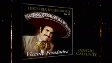 Vicente Fernández - Sangre Caliente (Cover Audio)